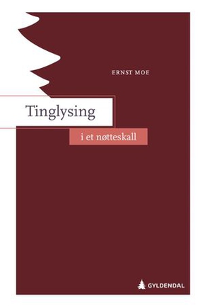 Tinglysing i et nøtteskall (ebok) av Ernst Mo