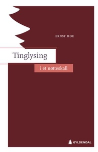 Tinglysing i et nøtteskall (ebok) av Ernst Mo