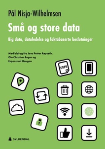 Små og store data (ebok) av Pål Nisja-Wilhelm