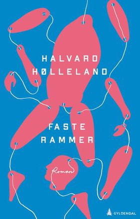 Faste rammer - roman (ebok) av Halvard Hølleland