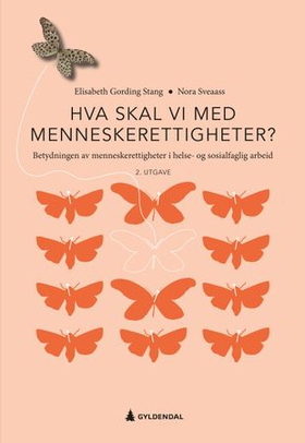 Hva skal vi med menneskerettigheter?