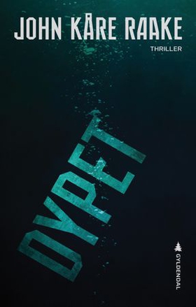 Dypet - thriller (ebok) av John Kåre Raake