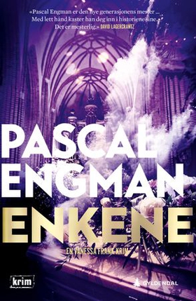 Enkene (ebok) av Pascal Engman