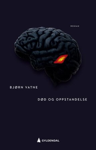Død og oppstandelse (ebok) av Bjørn Vatne