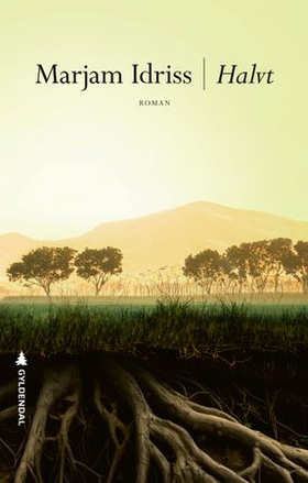 Halvt - roman (ebok) av Marjam Idriss