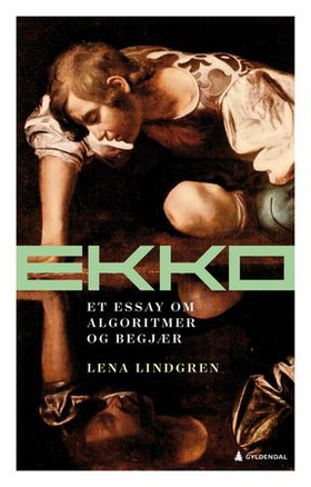 Ekko - et essay om algoritmer og begjær (ebok) av Lena Lindgren