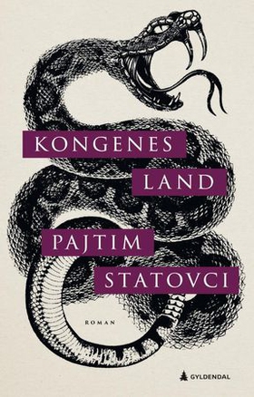 Kongenes land (ebok) av Pajtim Statovci