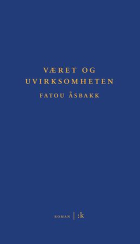 Været og uvirksomheten - roman (ebok) av Fatou Åsbakk