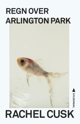 Regn over Arlington park (ebok) av Rachel Cusk