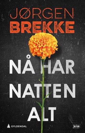 Nå har natten alt - kriminalroman (ebok) av Jørgen Brekke
