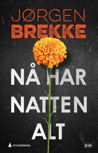 Nå har natten alt (ebok) av Jørgen Brekke