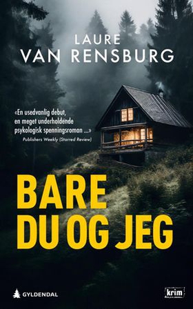 Bare du og jeg (ebok) av Laure Van Rensburg