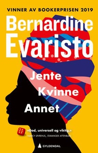Jente, kvinne, annet (ebok) av Bernardine Eva