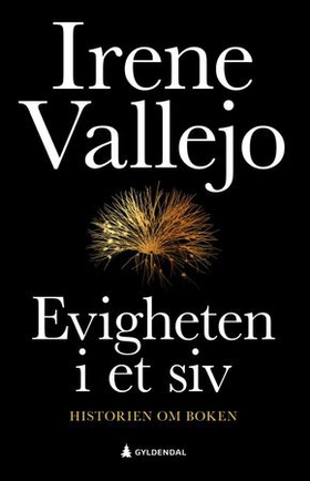 Evigheten i et siv - historien om boken (ebok) av Irene Vallejo