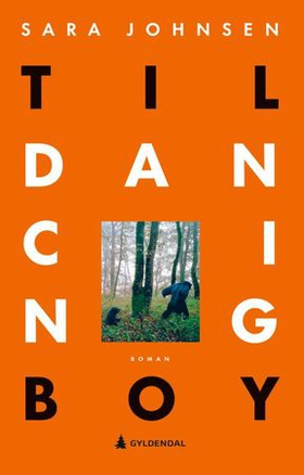 Til dancing boy - roman (ebok) av Sara Johnsen