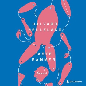 Faste rammer (lydbok) av Halvard Hølleland