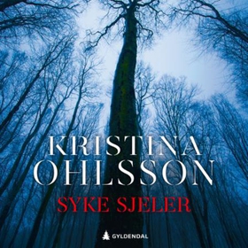 Syke sjeler (lydbok) av Kristina Ohlsson