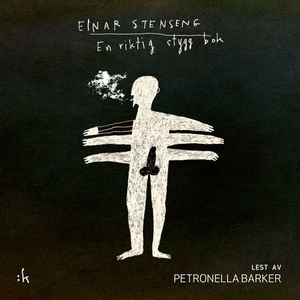En riktig stygg bok (lydbok) av Einar Stensen