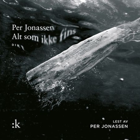 Alt som ikke fins (lydbok) av Per Jonassen