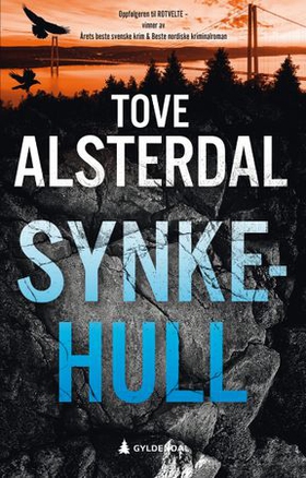 Synkehull (ebok) av Tove Alsterdal