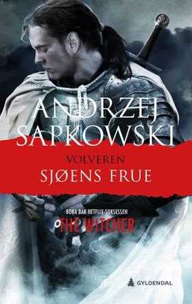 Sjøens frue (ebok) av Andrzej Sapkowski