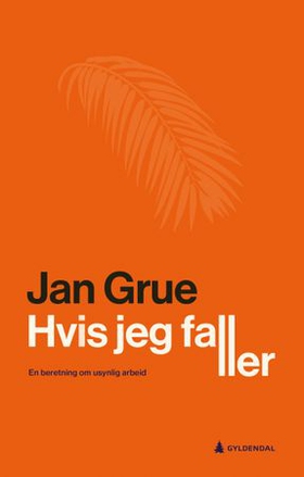 Hvis jeg faller (ebok) av Jan Grue