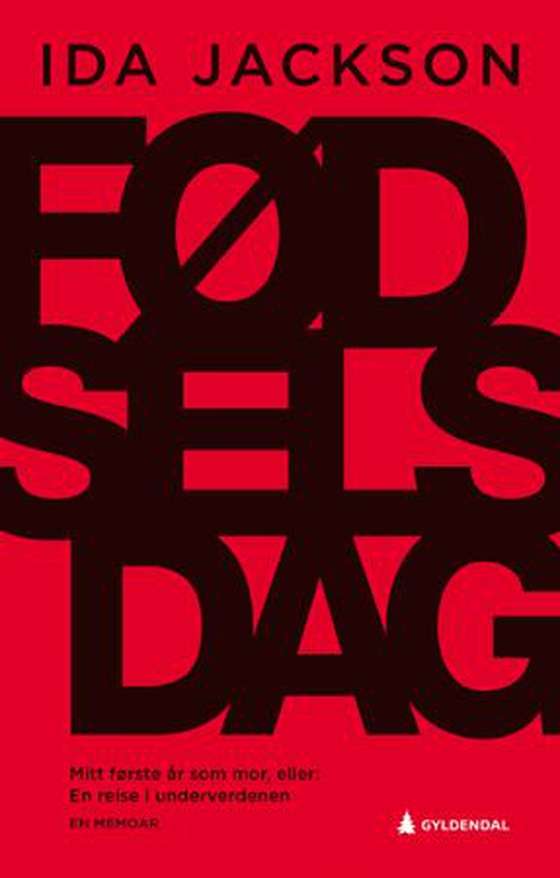 Fødselsdag - mitt første år som mor, eller En reise i underverdenen : en memoar (ebok) av Ida Jackson