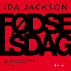 Fødselsdag - mitt første år som mor, eller En reise i underverdenen : en memoar (lydbok) av Ida Jackson