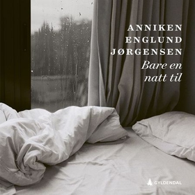 Bare en natt til (lydbok) av Anniken Englun