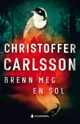 Brenn meg en sol - en roman om en forbrytelse (ebok) av Christoffer Carlsson