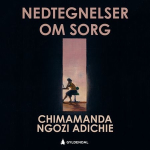Nedtegnelser om sorg (lydbok) av Chimamanda N