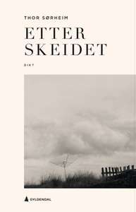Etter skeidet (ebok) av Thor Sørheim