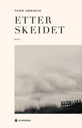 Etter skeidet - dikt (ebok) av Thor Sørheim