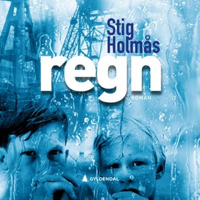Regn - roman (lydbok) av Stig Holmås