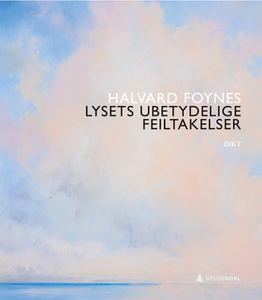 Lysets ubetydelige feiltakelser (ebok) av Hal