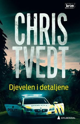 Djevelen i detaljene - kriminalroman (ebok) av Chris Tvedt