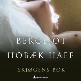 Skjøgens bok (lydbok) av Bergljot Hobæk Haff