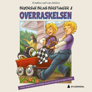 Overraskelsen (lydbok) av Bjørn Ingvaldsen
