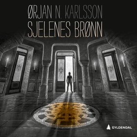 Sjelenes brønn (lydbok) av Ørjan N. Karlsson