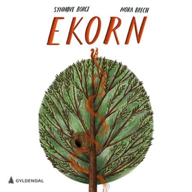 Ekorn