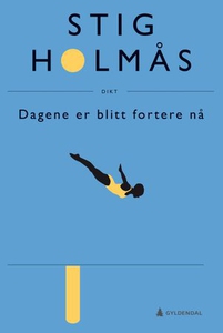 Dagene er blitt fortere nå (ebok) av Stig Hol