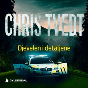 Djevelen i detaljene (lydbok) av Chris Tvedt
