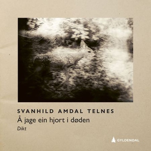 Å jage ein hjort i døden (lydbok) av Svanhild