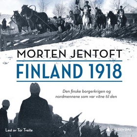 Finland 1918 - den finske borgerkrigen og nordmennene som var vitne til den (lydbok) av Morten Jentoft