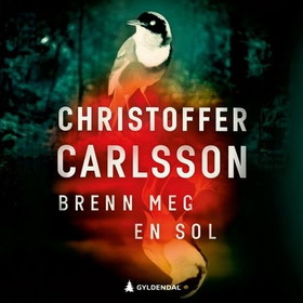 Brenn meg en sol - en roman om en forbrytelse (lydbok) av Christoffer Carlsson