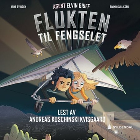 Flukten til fengselet