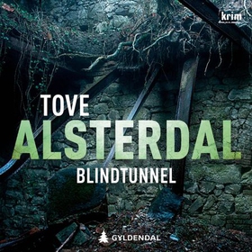 Blindtunnel (lydbok) av Tove Alsterdal