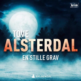 En stille grav - kriminalroman (lydbok) av Tove Alsterdal
