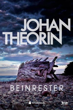 Beinrester (ebok) av Johan Theorin