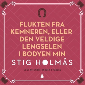 Flukten fra kemneren, eller Den veldige lengselen i bodyen min - roman (lydbok) av Stig Holmås